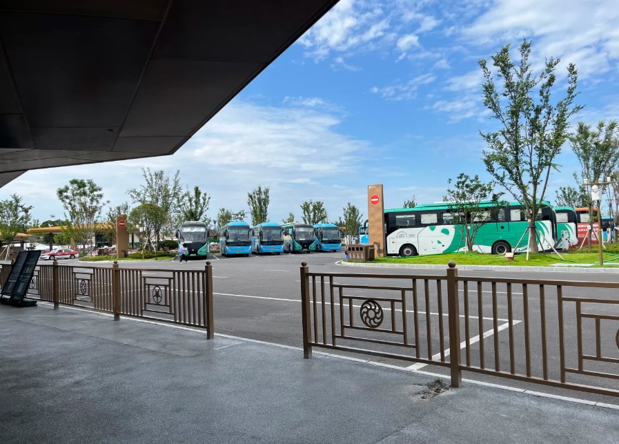 2025三星堆到都江堰旅游攻略！