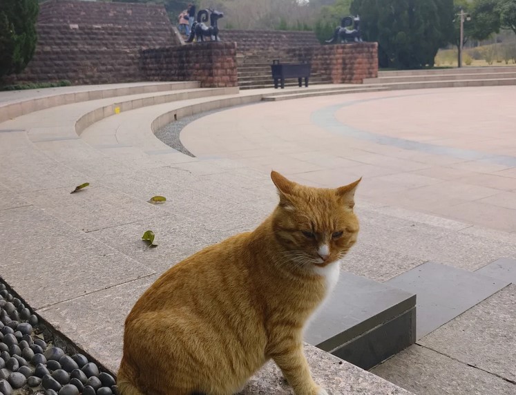 春节成都三星堆一日游攻略全程分享，从三星堆回成都打车好打吗？