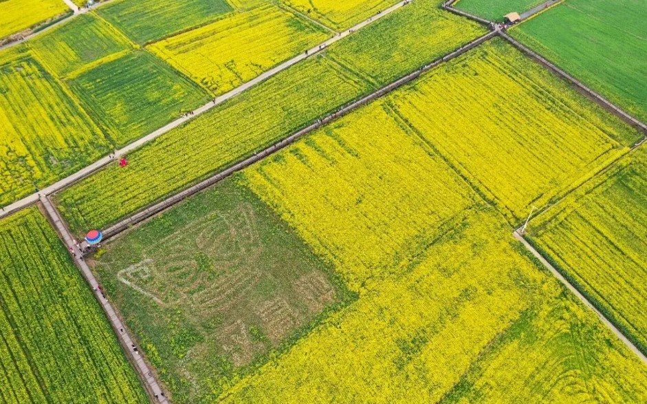 广汉高坪镇第九届油菜花赏花消费季：&rdquo;春约花海，和美高坪&ldquo;！