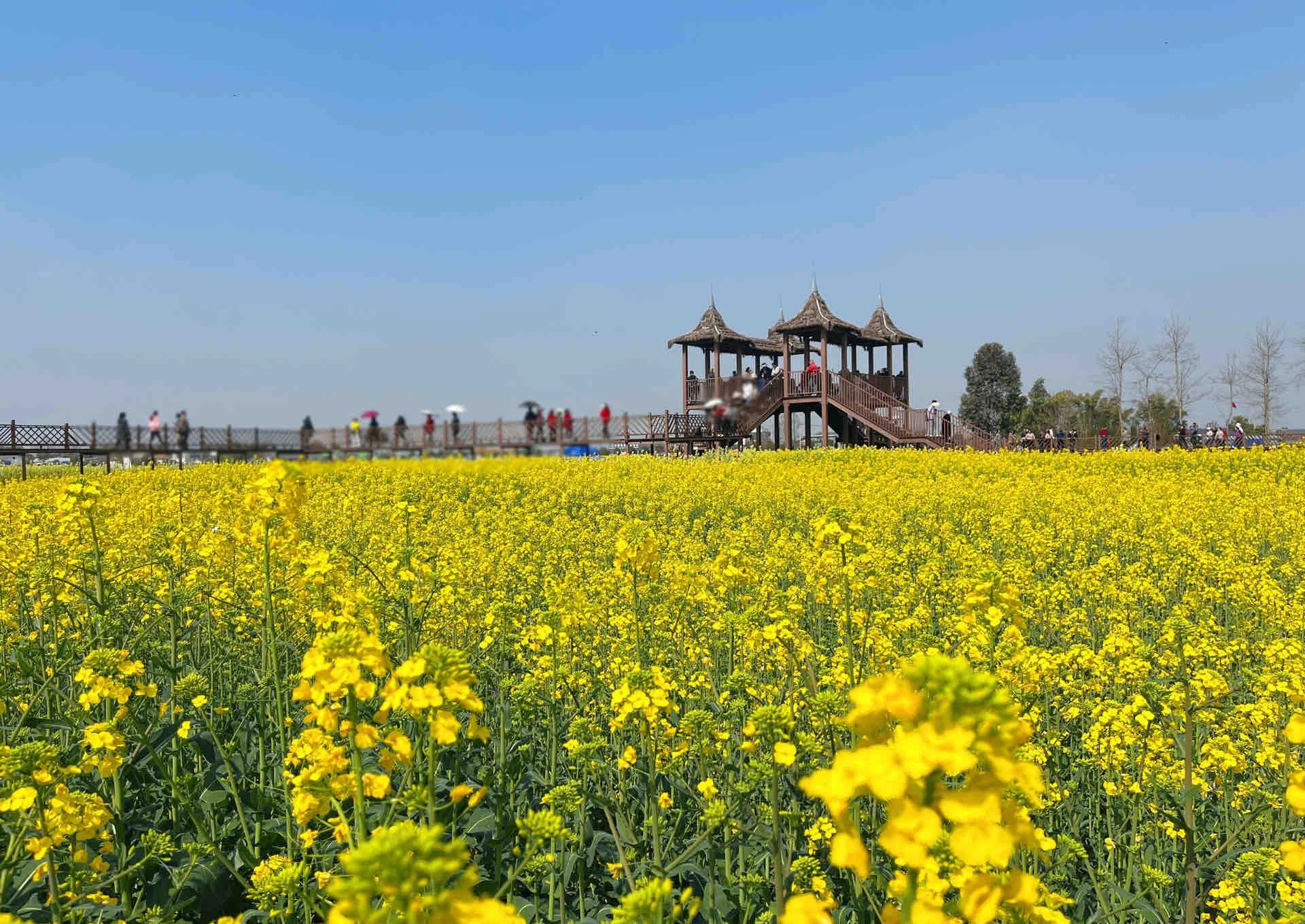 三月份去三星堆玩还能顺便去哪里？