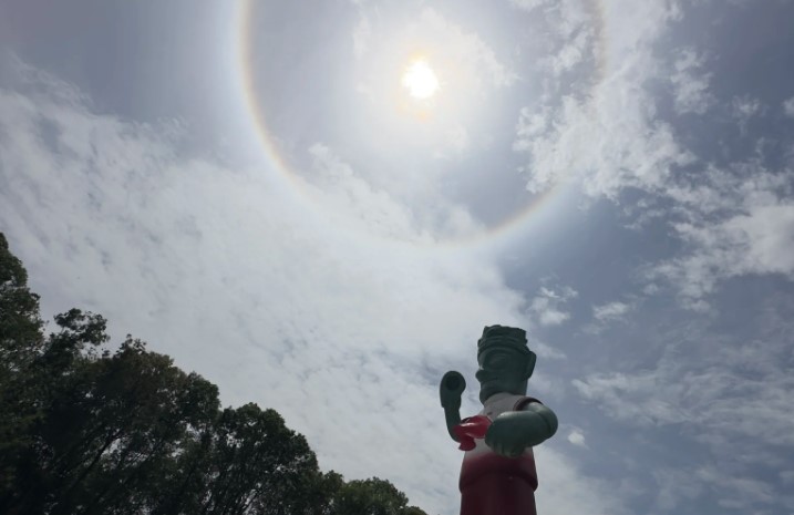 熊猫基地和三星堆一日游路线+门票+游玩必坑指南！