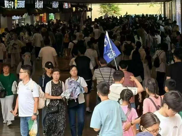 关于这次去成都三星堆的人工讲解感受！